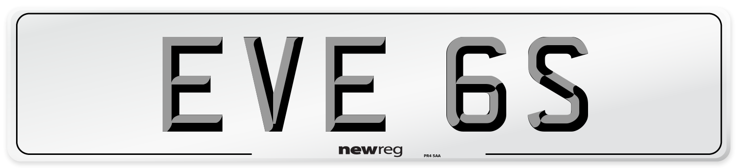 EVE 6S Number Plate from New Reg